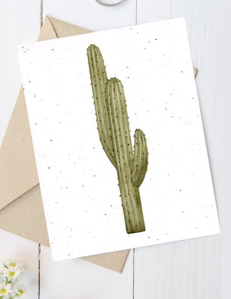 Carte de souhaits plantable - Cactus. Vendue chez Tah-dah !