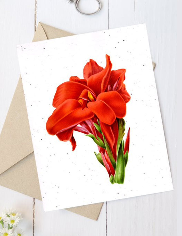 Carte de souhaits plantable - Fleurs. Vendue chez Tah-dah !