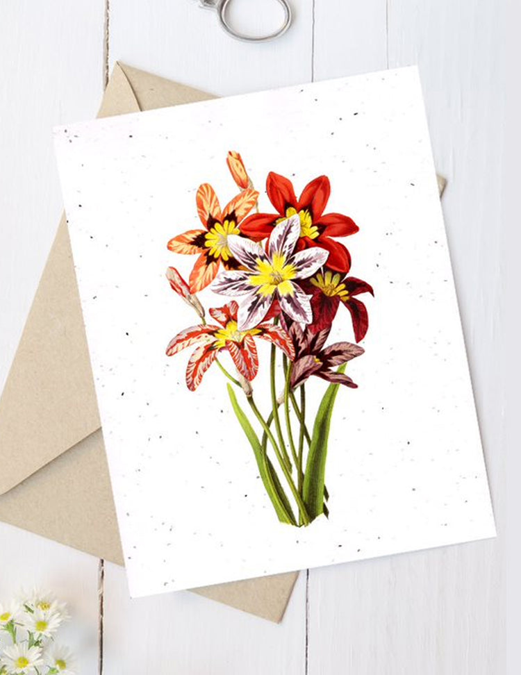 Carte de souhaits plantable - Fleurs. Vendue chez Tah-dah !