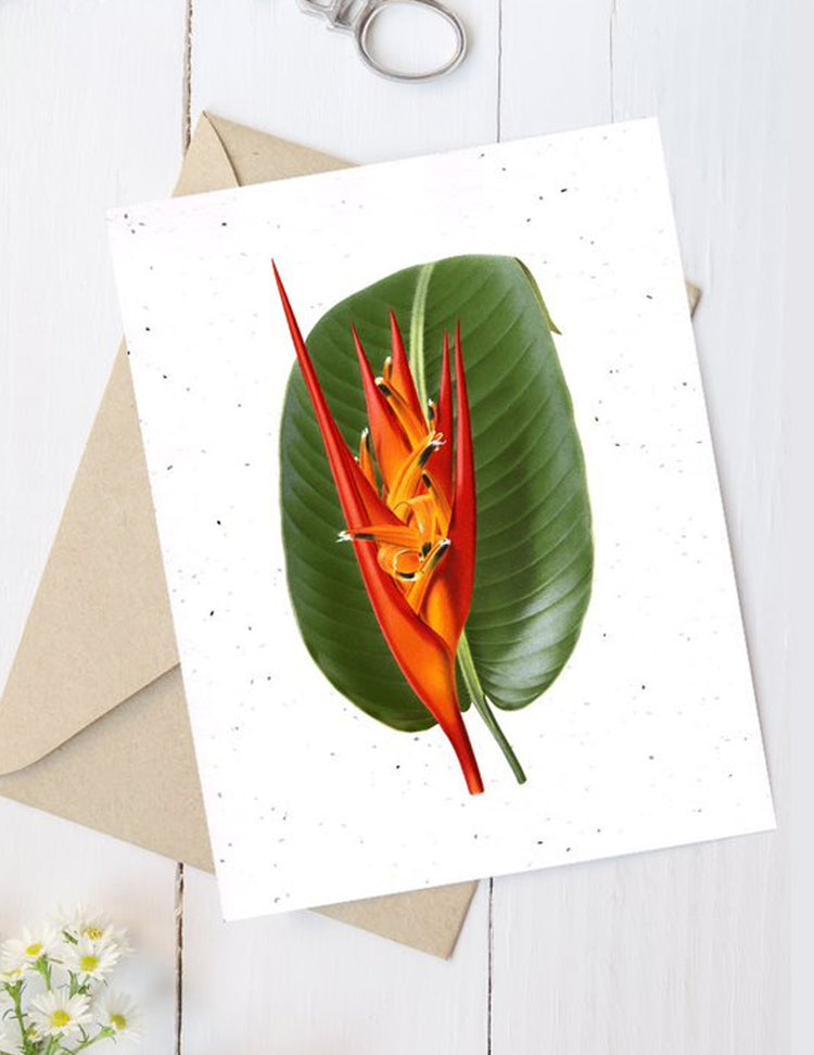 Carte de souhaits plantable - Fleurs. Vendue chez Tah-dah !
