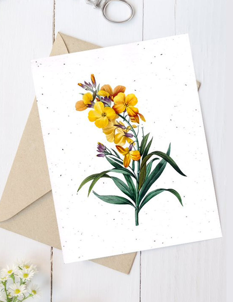 Carte de souhaits plantable - Fleurs. Vendue chez Tah-dah !