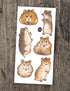 Tatouages temporaires pour enfants. Les hamsters. Vendus chez Tah-dah ! 