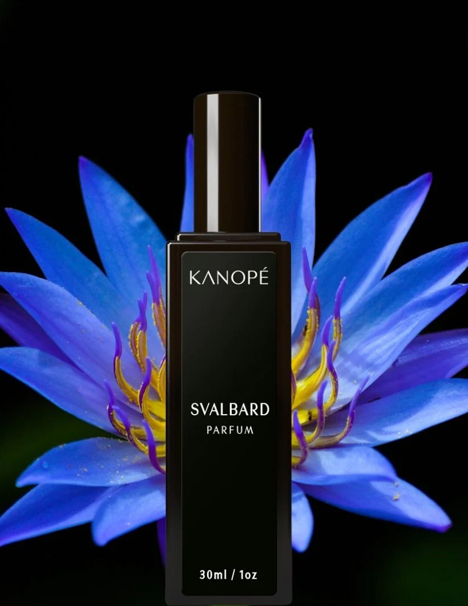 Parfum Svlabard 30ml. Vendu chez Tah-dah !
