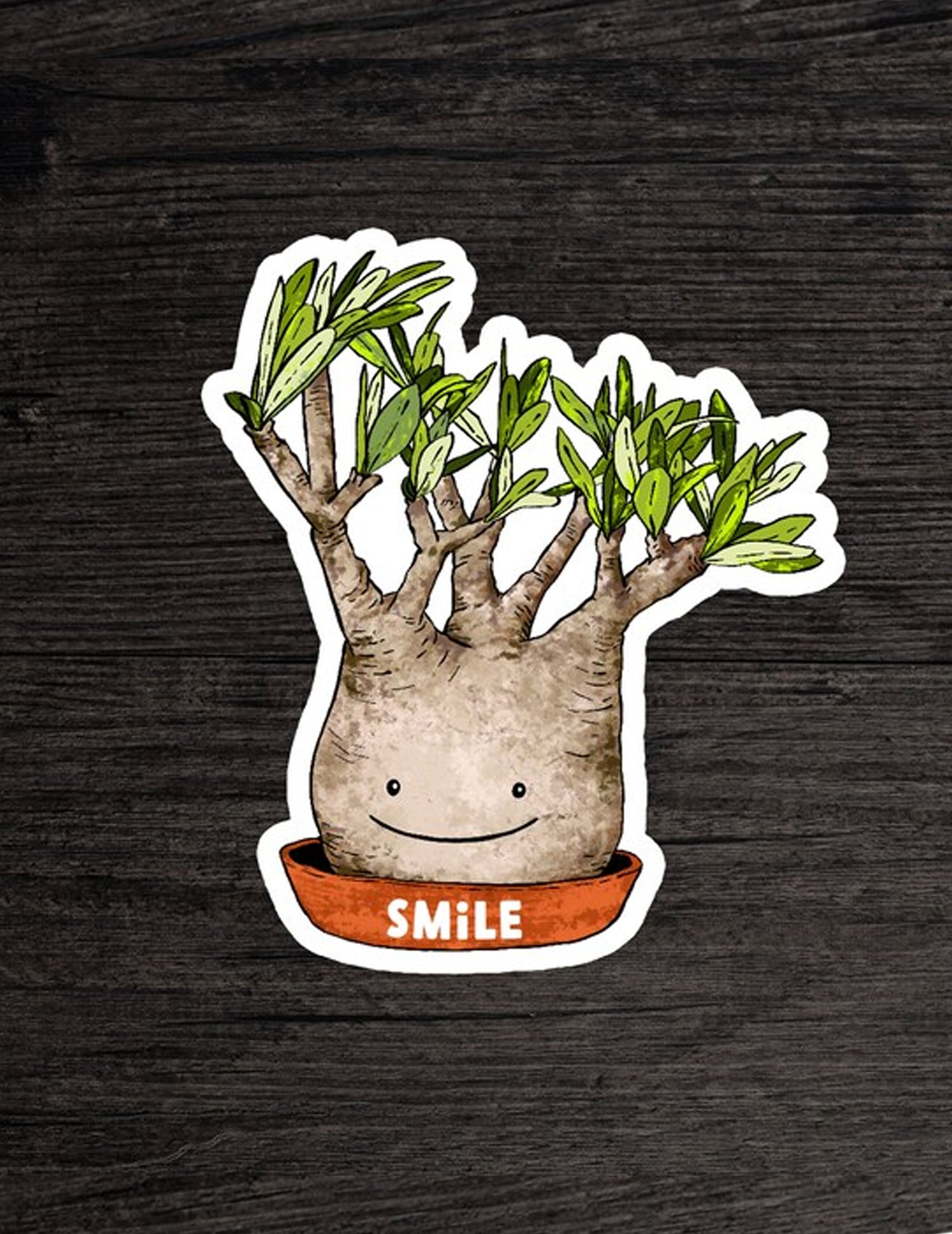 Aimant et autocollant - Smile succulent