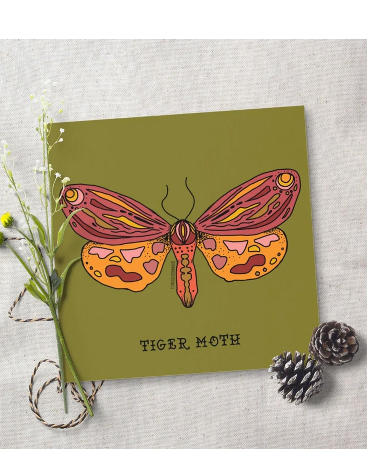 Affiche - Tiger Moth. Vendue chez Tah-dah ! 